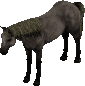 Custom_horse_grey_II_L.gif