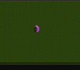 VideoSolitaire.gif