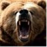 SirGrizzlyBear